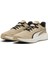 Skyrocket Lite 3