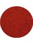 Tropıcal Red Mıco Colour Stıcks 25GR (Kan Kurdu) 1