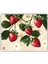Dalda Çilekler Baskılı Mouse Pad 18X22 cm 1