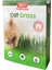 Bio Petactive Bio Pet Active Grass Kit Natual Kedi Çimi 1