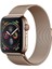 Apple Watch Manyetik Döngü 10/9/8/7/6/se/5/4/3/2 38MM 40MM 41MM iwatch 10 42MM Paslanmaz Çelik Mıknatıslı Kordon 1