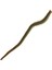 Gulp Alive Saltwater Sandworm 3
