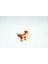 Ponyta Pokemon 3D Model 3