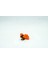 Vulpix Pokemon 3D Model 2