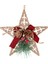 Yılbaşı Ağaç Süsü Yılbaşı Dekorlu Simli Yıldız Gold 12X13 Cm. 1