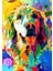 500 Parça - Colorful Dog (Renkli Köpek) 2