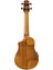 AUC10E-OPN Elektro Concert Ukulele 2