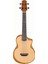 AUT10-OPN Tenor Ukulele 1