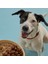 Yetişkin Köpek Maması 15 kg + Kito Fresh Tanışma Paketi 3