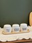 3'lü Porselen Salt-Pepper-Sugar Standlı Kavanoz Baharatlık Seti 2