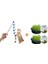 Organik Kedi Çimi 2'li + Çıngıraklı Kedi Oyun Oltası 50 cm 1