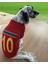 Uno Red Büyük Irk Köpekler Için Tişört 2
