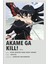 Rollas Store Akame Ga Kıll Anime A4 Boy Poster 3