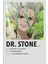 Rollas Store Dr Stone Anime A4 Boy Poster 1