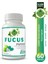 Fucus Kapsül (FUCUS CAPSULE) 1