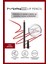 Lip Pencil Dudak Kalemi-chılı Rımmed 1.45gm 1