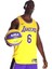 Los Angeles Lakers Dri Fit Swingman Jersey Icon 22 Erkek FORMA-DN2009-728 1