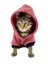 Student Rabbit Sweatshirt Kedi Kıyafeti Kedi Elbisesi 3