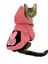 Student Rabbit Sweatshirt Kedi Kıyafeti Kedi Elbisesi 4