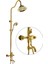 Dıamond Classic Gold Yağmurlama Banyo Bataryalı Duş Seti 1