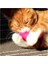 Kedi Otu Dolgulu Renkli Peluş Oyuncak 5