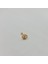 Istiridye Incili Cerrahi Çelik Küpe Tragus Helix Kıkırdak Piercing 5