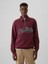 Erkek Bordo Gap Logo Vintage Soft Fermuarlı Pullover Sweatshirt 1