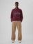 Erkek Bordo Gap Logo Vintage Soft Fermuarlı Pullover Sweatshirt 4