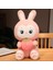 Pembe Tavşan Sanrio 35 cm Peluş Oyuncak Yumoş Uyku Arkadaşım 1 Adet 1