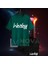 Wesley Sneijder Legend 10 Numara Sırt Forma Baskılı Unisex Futbol Tişört T-Shirt Şort Takımı 2
