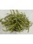Sagafresh Isıtılarak Kurutulmuş Fasulye Dilimleri 1000G 1