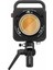 Molus G300 LED Monolight 3