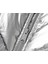 Nkfmisty Puffer Çocuk Günlük Mont 13233969-SILVER Gri 5