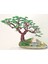 Doğanın Işıltısı | Bonsai Tel Ağaç | doğum günü hediyesi | ev dekorasyonu | yapay ağaç | hediyelik eşya | dekoratif ürünler| 8