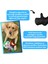 Cadılar Bayramı Temalı Köpek Oyuncak Seti Sesli Peluş Joker ve Joker Ağız Köpek Oyuncakları 6