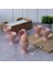 Mat Açık Pembe Juliet Yumurtalık 07 Cm 6 Adet 1