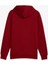 Ess+ 2 Col Big Logo Hoodie Erkek Kırmızı Sweatshirt 58676412 2