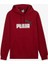 Ess+ 2 Col Big Logo Hoodie Erkek Kırmızı Sweatshirt 58676412 3
