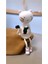 Kedi Biblo Ayakları Sallanan 3