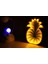 Ay Üzerinde Astronot Ve Ayna Yansımalı Led Ananas Gece Lambası 4