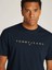 Tommy Hilfiger Tjm Reg Gold Linear Logo Tee Erkek T-Shirt 3