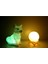 Kar Tilkisi ve 3D LED Küre Gece Lambası 1