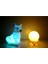Kar Tilkisi ve 3D LED Küre Gece Lambası 2