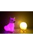 Kar Tilkisi ve 3D LED Küre Gece Lambası 3