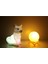 Kar Tilkisi ve 3D LED Küre Gece Lambası 4