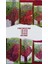 Takviyeli Baskılı Mağaza Poşeti 3'lü Paket (2-3-4 No) 3X50 (150)ADET 26X38-33X45-40X50 cm 1