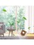 Ecovacs Deebot T8 Aıvı T8 T9 N8 DX93 DDX96 Robotlu Süpürge Için Tek Kullanımlık Toz Torbası, 10 Paket Vakum Torbaları (Yurt Dışından) 2