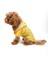 Good Dog Bornoz 1