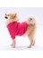 Pembe Merino Esnek, Küçük Irk Triko Köpek Kazağı 1