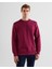 Erkek Bordo Regular Fit Bisiklet Yaka Logolu Sweatshirt 2036017.558 1